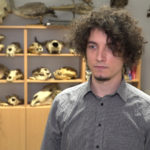 Nowe technologie przyspieszają odkrycia w paleontologii. Dzięki modelowaniu i drukowi 3D udało się dokładnie zbadać żuchwę prassaka z Grenlandii